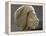 Relief ouline profile of a Nubian face, Ancient Egyptian-Werner Forman-Framed Premier Image Canvas