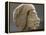 Relief ouline profile of a Nubian face, Ancient Egyptian-Werner Forman-Framed Premier Image Canvas