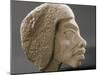 Relief ouline profile of a Nubian face, Ancient Egyptian-Werner Forman-Mounted Photographic Print
