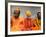 Religious Man at Pashupatinath Holy Hindu Place on Bagmati River, Kathmandu, Nepal-Bill Bachmann-Framed Photographic Print