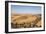 Remah Desert, Al Ain, Abu Dhabi, United Arab Emirates, Middle East-Jane Sweeney-Framed Photographic Print