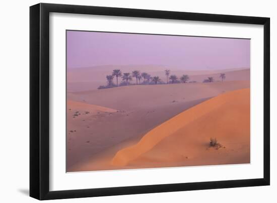 Remah Desert, Al Ain, Abu Dhabi, United Arab Emirates, Middle East-Jane Sweeney-Framed Photographic Print