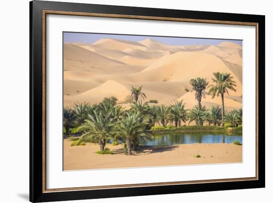 Remah Desert, Al Ain, Abu Dhabi, United Arab Emirates, Middle East-Jane Sweeney-Framed Photographic Print