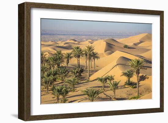 Remah Desert, Al Ain, Abu Dhabi, United Arab Emirates, Middle East-Jane Sweeney-Framed Photographic Print