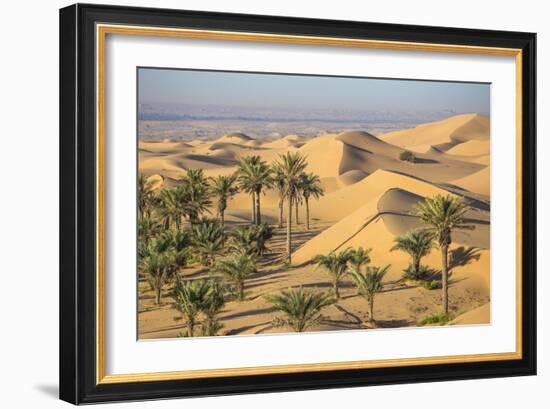 Remah Desert, Al Ain, Abu Dhabi, United Arab Emirates, Middle East-Jane Sweeney-Framed Photographic Print