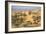 Remah Desert, Al Ain, Abu Dhabi, United Arab Emirates, Middle East-Jane Sweeney-Framed Photographic Print