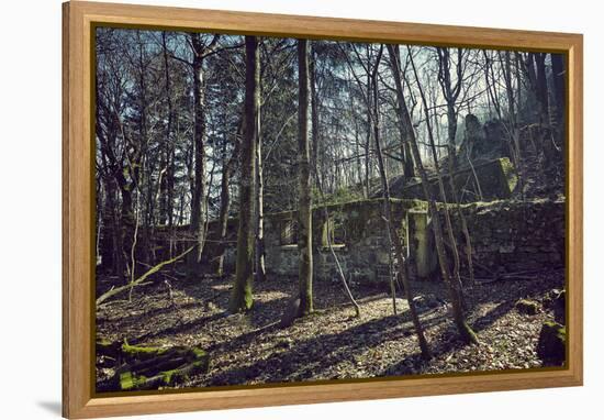 Remains of a bunker at a mountain in a wood in winter in Alsace with sun and shade-Axel Killian-Framed Premier Image Canvas