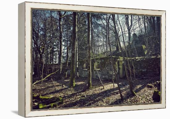 Remains of a bunker at a mountain in a wood in winter in Alsace with sun and shade-Axel Killian-Framed Premier Image Canvas