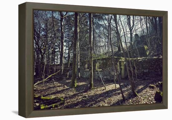 Remains of a bunker at a mountain in a wood in winter in Alsace with sun and shade-Axel Killian-Framed Premier Image Canvas