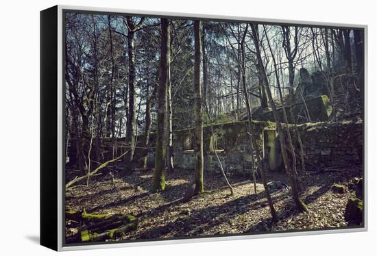 Remains of a bunker at a mountain in a wood in winter in Alsace with sun and shade-Axel Killian-Framed Premier Image Canvas