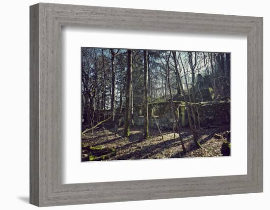 Remains of a bunker at a mountain in a wood in winter in Alsace with sun and shade-Axel Killian-Framed Photographic Print