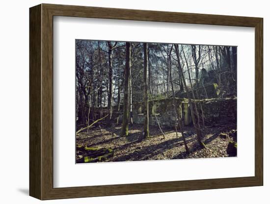 Remains of a bunker at a mountain in a wood in winter in Alsace with sun and shade-Axel Killian-Framed Photographic Print