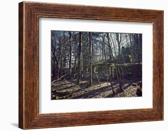 Remains of a bunker at a mountain in a wood in winter in Alsace with sun and shade-Axel Killian-Framed Photographic Print