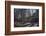 Remains of a bunker at a mountain in a wood in winter in Alsace with sun and shade-Axel Killian-Framed Photographic Print