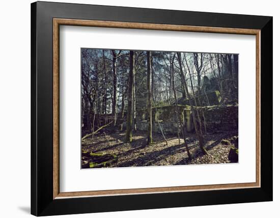 Remains of a bunker at a mountain in a wood in winter in Alsace with sun and shade-Axel Killian-Framed Photographic Print