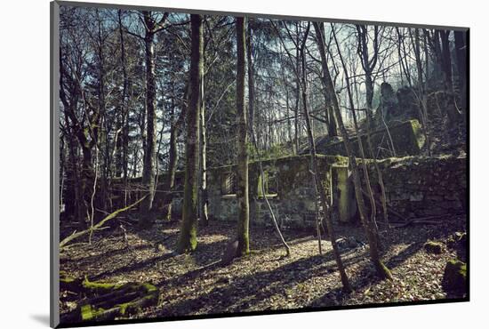 Remains of a bunker at a mountain in a wood in winter in Alsace with sun and shade-Axel Killian-Mounted Photographic Print