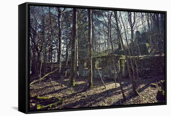 Remains of a bunker at a mountain in a wood in winter in Alsace with sun and shade-Axel Killian-Framed Stretched Canvas