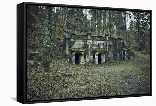 Remains of a bunker at a mountain in a wood in winter in Alsace-Axel Killian-Framed Stretched Canvas