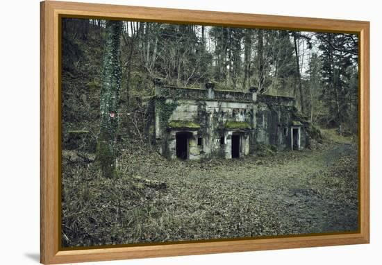 Remains of a bunker at a mountain in a wood in winter in Alsace-Axel Killian-Framed Premier Image Canvas