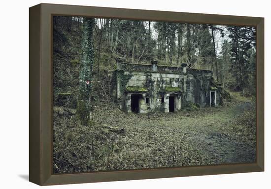 Remains of a bunker at a mountain in a wood in winter in Alsace-Axel Killian-Framed Premier Image Canvas