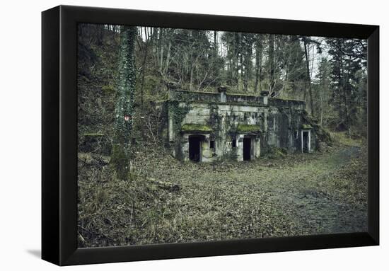 Remains of a bunker at a mountain in a wood in winter in Alsace-Axel Killian-Framed Premier Image Canvas