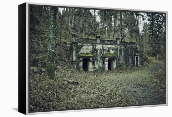 Remains of a bunker at a mountain in a wood in winter in Alsace-Axel Killian-Framed Premier Image Canvas