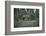 Remains of a bunker at a mountain in a wood in winter in Alsace-Axel Killian-Framed Photographic Print