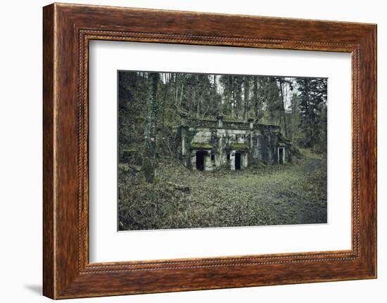 Remains of a bunker at a mountain in a wood in winter in Alsace-Axel Killian-Framed Photographic Print