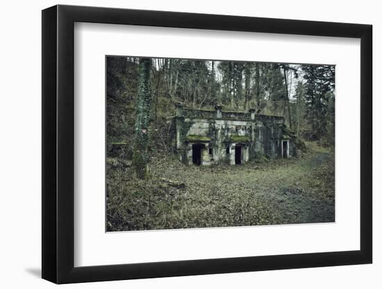 Remains of a bunker at a mountain in a wood in winter in Alsace-Axel Killian-Framed Photographic Print