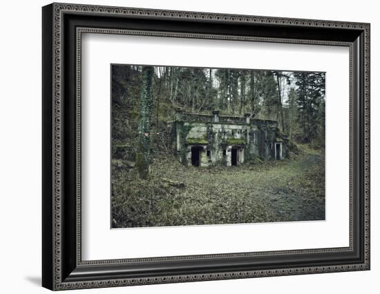 Remains of a bunker at a mountain in a wood in winter in Alsace-Axel Killian-Framed Photographic Print