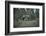 Remains of a bunker at a mountain in a wood in winter in Alsace-Axel Killian-Framed Photographic Print