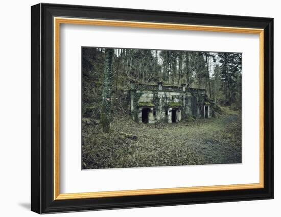 Remains of a bunker at a mountain in a wood in winter in Alsace-Axel Killian-Framed Photographic Print