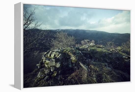 Remains of a bunker at a mountaintop in a wood in winter in Alsace-Axel Killian-Framed Premier Image Canvas