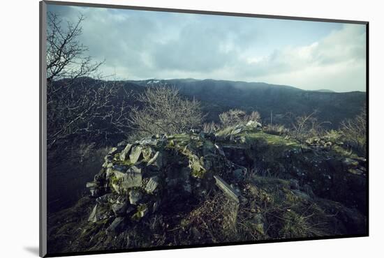 Remains of a bunker at a mountaintop in a wood in winter in Alsace-Axel Killian-Mounted Photographic Print