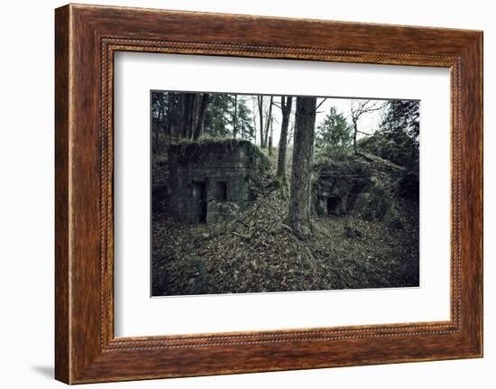 Remains of a bunker in a wood in winter in Alsace-Axel Killian-Framed Photographic Print