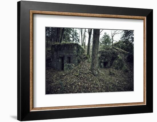 Remains of a bunker in a wood in winter in Alsace-Axel Killian-Framed Photographic Print