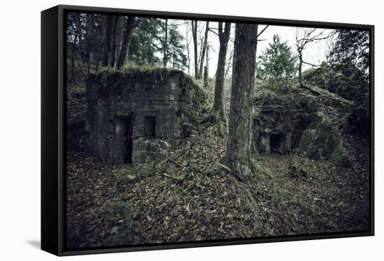 Remains of a bunker in a wood in winter in Alsace-Axel Killian-Framed Stretched Canvas