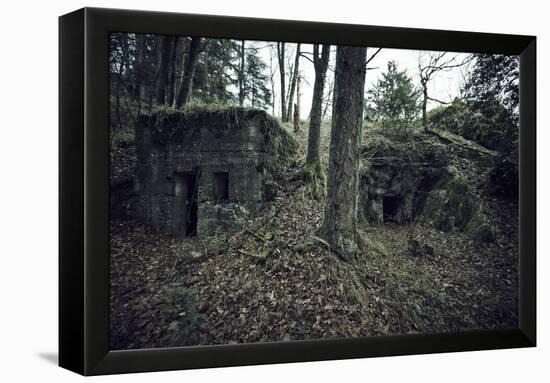 Remains of a bunker in a wood in winter in Alsace-Axel Killian-Framed Premier Image Canvas