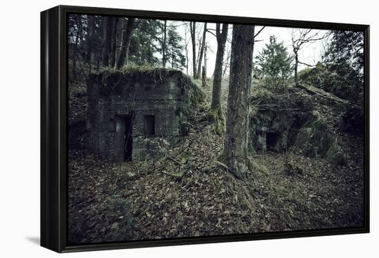 Remains of a bunker in a wood in winter in Alsace-Axel Killian-Framed Premier Image Canvas