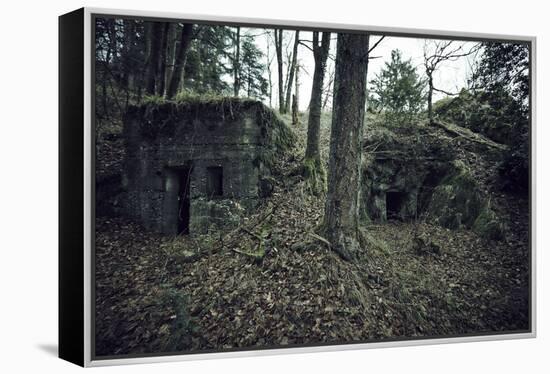 Remains of a bunker in a wood in winter in Alsace-Axel Killian-Framed Premier Image Canvas