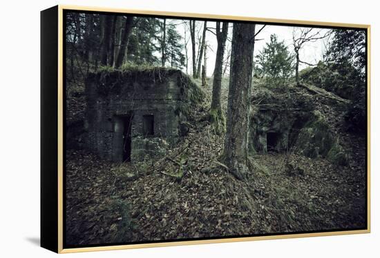 Remains of a bunker in a wood in winter in Alsace-Axel Killian-Framed Premier Image Canvas