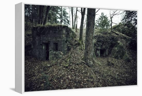 Remains of a bunker in a wood in winter in Alsace-Axel Killian-Framed Premier Image Canvas