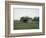 Remains of a bunker on a meadow at the edge of a wood next to a field-Axel Killian-Framed Photographic Print