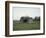 Remains of a bunker on a meadow at the edge of a wood next to a field-Axel Killian-Framed Photographic Print