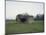 Remains of a bunker on a meadow at the edge of a wood next to a field-Axel Killian-Mounted Photographic Print