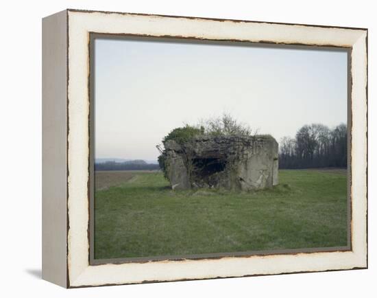 Remains of a bunker on a meadow at the edge of a wood next to a field-Axel Killian-Framed Premier Image Canvas