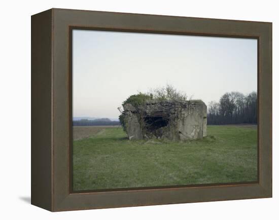 Remains of a bunker on a meadow at the edge of a wood next to a field-Axel Killian-Framed Premier Image Canvas