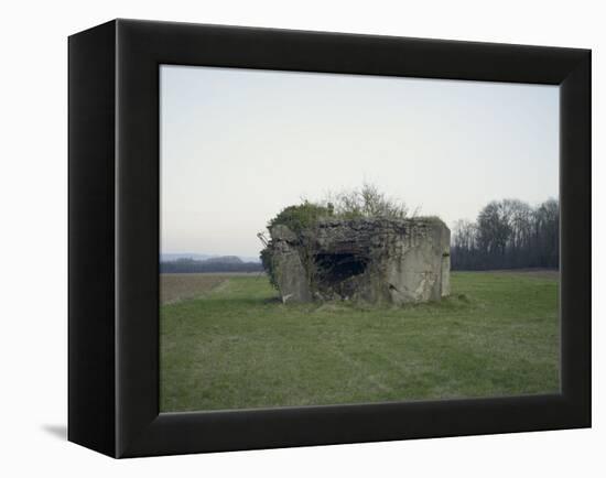 Remains of a bunker on a meadow at the edge of a wood next to a field-Axel Killian-Framed Premier Image Canvas