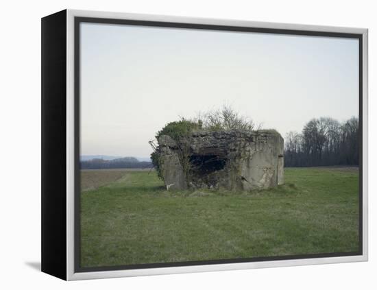 Remains of a bunker on a meadow at the edge of a wood next to a field-Axel Killian-Framed Premier Image Canvas