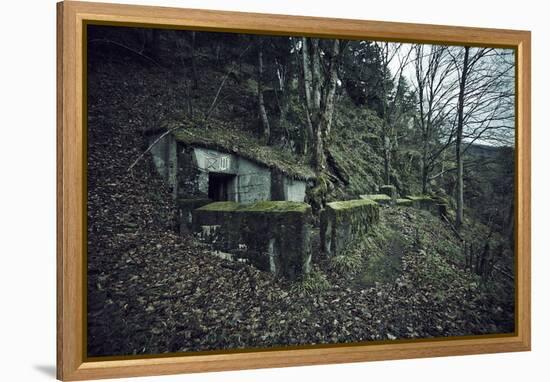 Remains of a bunker on mountain in a wood in winter in Alsace-Axel Killian-Framed Premier Image Canvas